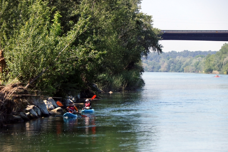 People kayaking in the Ebre river in Tortosa on May 11, 2022 (by Jordi Marsal)